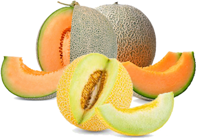 Canataloupe Melon Erfan